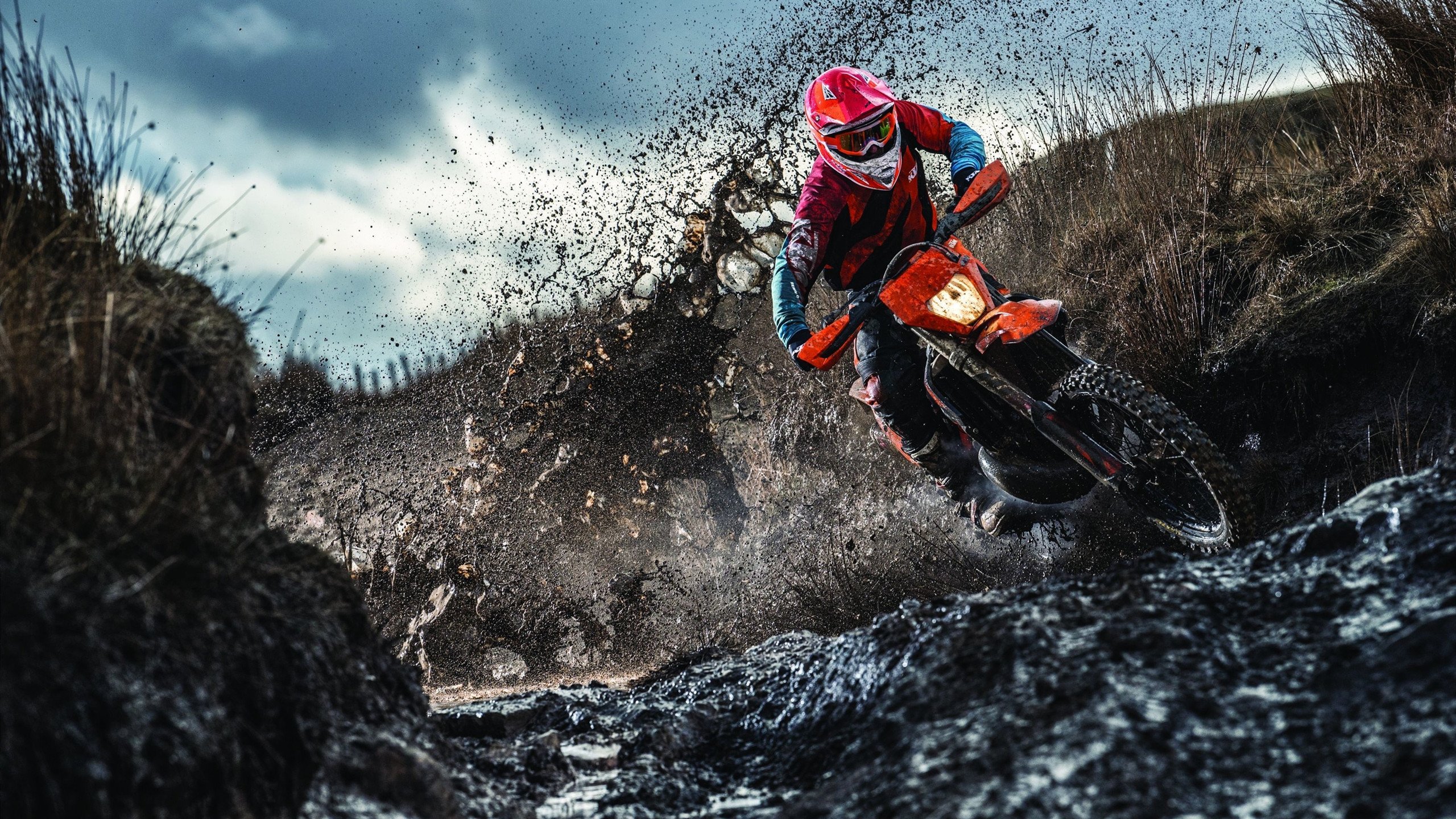 _湖人团队发力，迎来精彩反弹_，快速了解湖人队